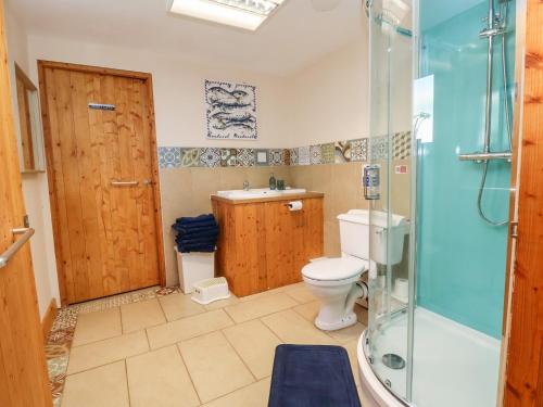 a bathroom with a shower and a toilet and a sink at The Old Nursery in Malpas