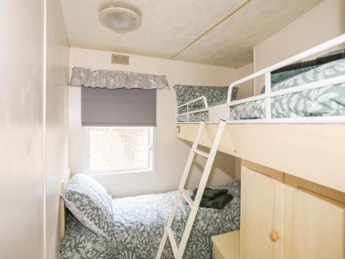 a small room with a bunk bed and a ladder at Tyn Clwt in Caernarfon