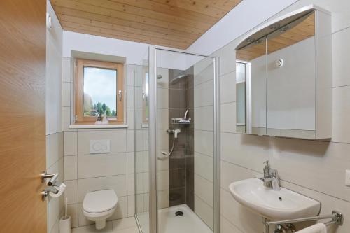 a bathroom with a shower and a sink and a toilet at Ferienhof Feurle in Sulzberg