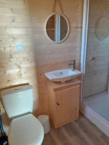 een badkamer met een toilet, een wastafel en een douche bij L'Insolite de Nathcy in Thiel-sur-Acolin