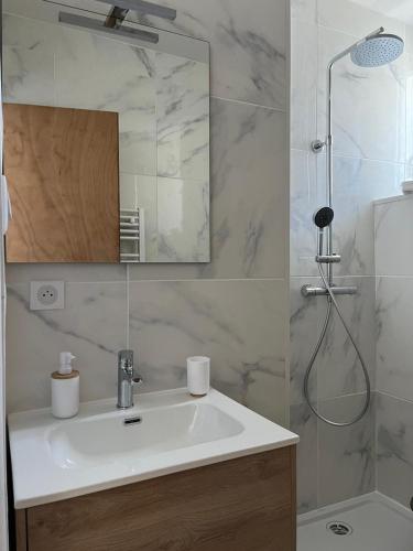 une salle de bain avec un lavabo et une douche dans l'établissement T2 vue mer - entre aéroport et centre-ville, à Ajaccio
