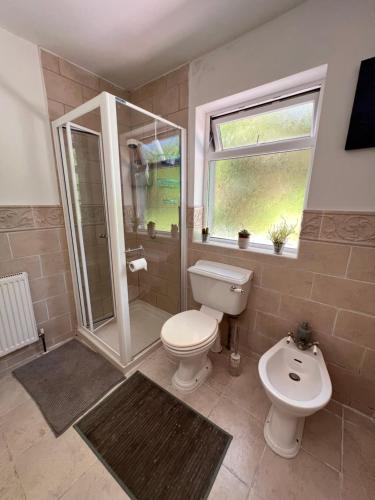a bathroom with a toilet and a shower and a sink at LOCH CONNELL LODGE in Letterkenny