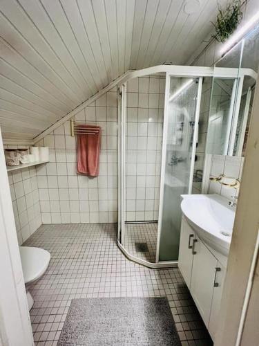 a bathroom with a shower and a toilet and a sink at Huvila Kyrönniemi in Savonlinna