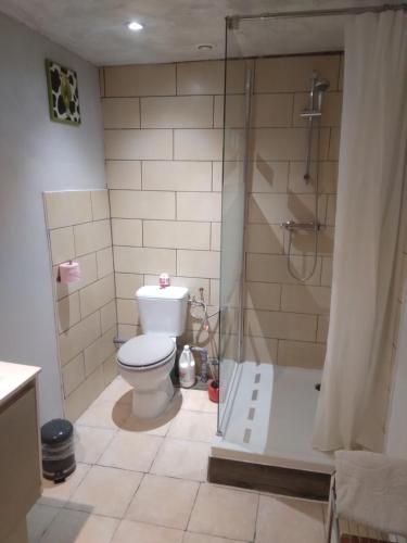 e bagno con servizi igienici e doccia con tenda. di Anemones a Castelnau-le-Lez