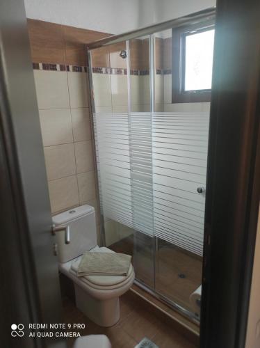 a bathroom with a toilet and a glass shower at Mary's House in Vourvourou