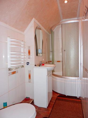 a bathroom with a toilet and a sink and a shower at Sadyba Bilya Richky in Yaremche