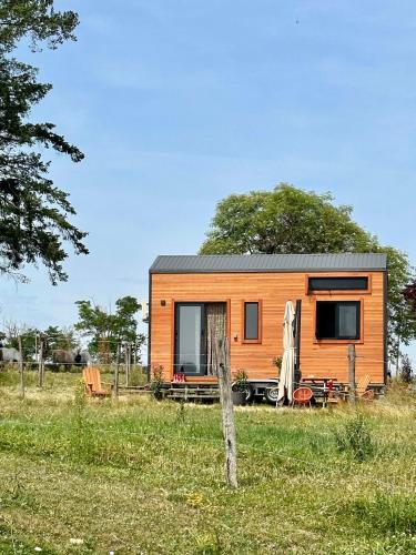 una casita en un campo con un árbol en Tiny House et chevaux, en Le Breuil