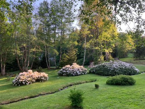 Ein Garten an der Unterkunft Chata Rozhlas
