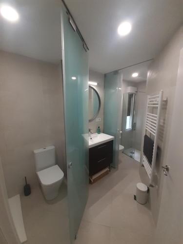 uma casa de banho com um WC, um lavatório e um espelho. em Moderno, céntrico. Perfecto para familias. em Vitoria-Gasteiz