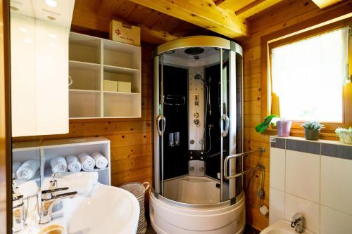 a bathroom with a shower and a toilet and a sink at Apartma Smithy (Kovačnica) in Laško