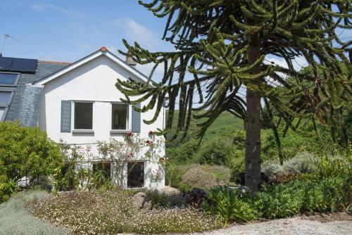Treen House, Porthcurno – Photos 5