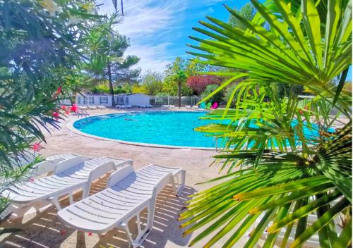 une piscine avec des chaises longues et un palmier dans l'établissement Mobil Home Domaine des Iscles, à La Roque-dʼAnthéron