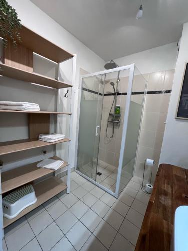 ein Bad mit einer Dusche mit einer Duschkabine aus Glas in der Unterkunft Studio terrasse et parking privé in Nizza