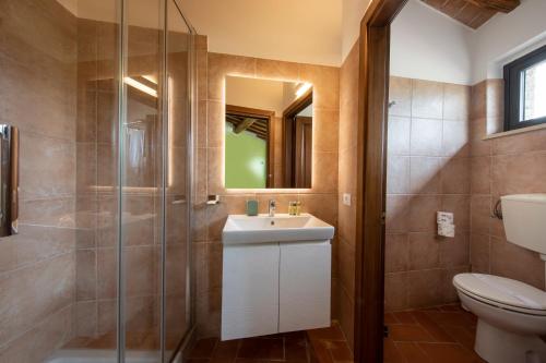a bathroom with a shower and a sink and a toilet at BORGO A MONTI di Sotto in Gaiole in Chianti