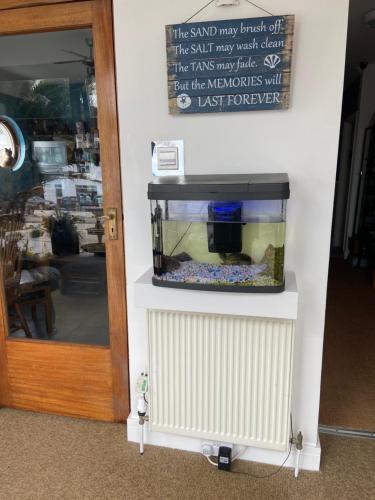 a fish tank on a wall next to a door at Aquarius B&B in Newquay