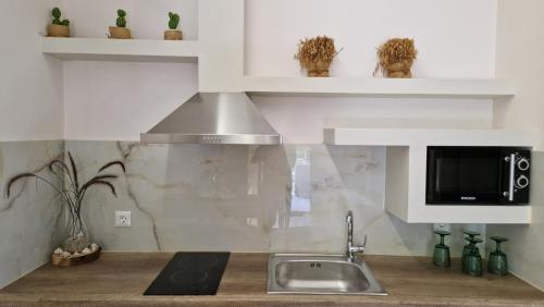 uma cozinha com um lavatório e um fogão em Aventora Apartments em Lygia