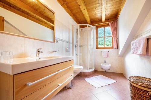 a bathroom with a sink and a toilet at Mitterbruggehof Apt Berganemone in Anterselva di Mezzo