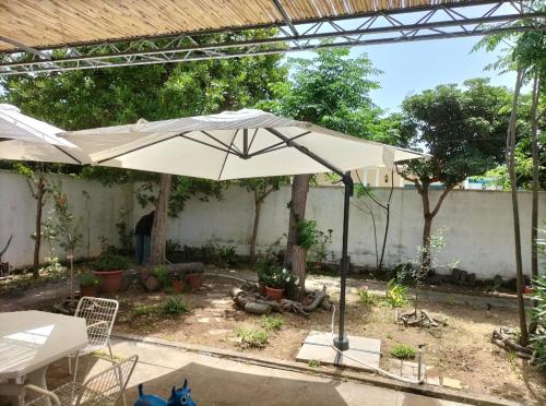 a white umbrella in a yard with trees at Casa Azzurra in Conca Specchiulla