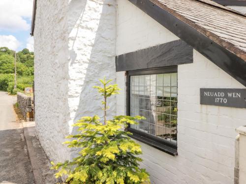a tree in front of a window of a building at Neuadd Wen in Derwen