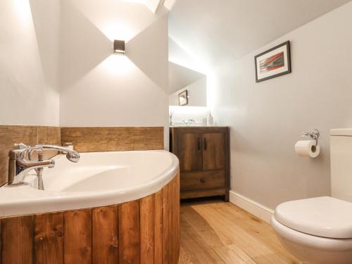 a bathroom with a sink and a toilet at Neuadd Wen in Derwen