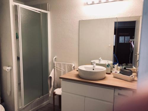 La salle de bains est pourvue d'un lavabo et d'un miroir. dans l'établissement Le Perce Neige - plein centre, à Luchon