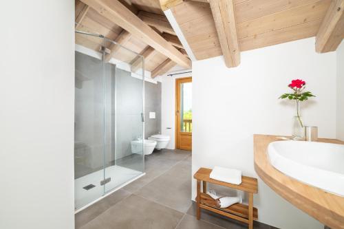 een badkamer met een wastafel en een douche bij B&B Le Zucche in Belluno