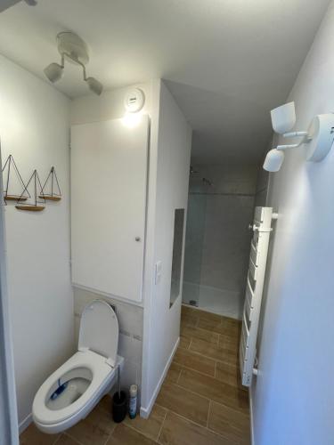 een badkamer met een toilet en een douche. bij Le rayon vert in Six-Fours-les-Plages