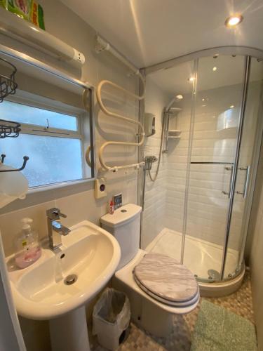 a bathroom with a shower and a toilet and a sink at Aquarius B&B in Newquay