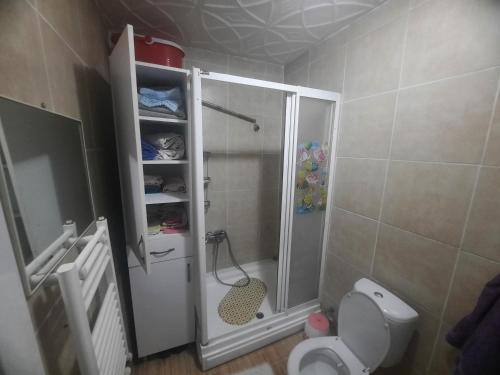 een kleine badkamer met een douche en een toilet bij penthouse,wood wall,barbecue roof garden,authentic in Istanbul