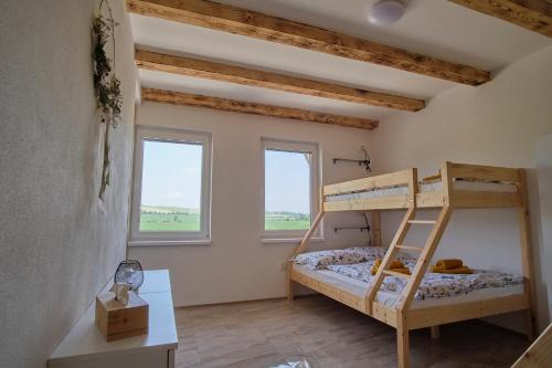 a bedroom with a bunk bed and two windows at Apart Kobylí in Kobylí