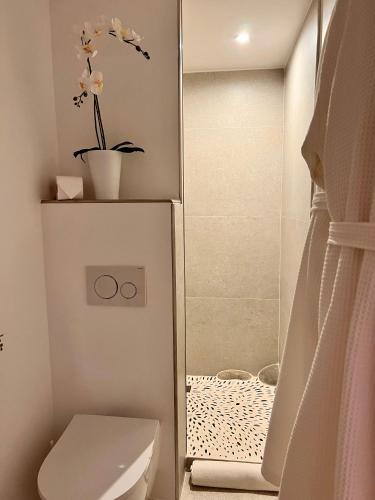 a bathroom with a toilet and a shower at Tamarin & Capucin Suite Balnéo in Aubagne