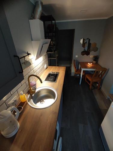 a bathroom with a sink in a counter top at Saules ieskauti in Saulkrasti