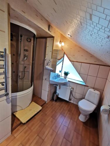 リエパーヤにあるSilent Loft for Getawayのバスルーム(トイレ、洗面台付)