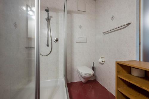 uma casa de banho com um chuveiro, um WC e um lavatório. em Lindenhof Apt 5 em Vandoies