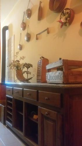 a kitchen with a counter top with a tree on the wall at Mosci's Bed & Beer in San Damiano dʼAsti