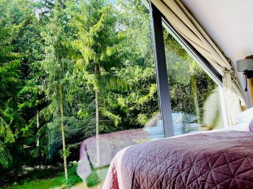 a bedroom with a window looking out at trees at Apartamenty Leśne Historie in Gołuchów