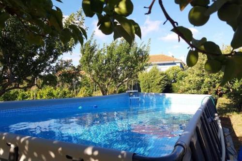 托馬爾的住宿－Casa Azul Tomar privé vakantiehuis，一座树木繁茂的庭院内的游泳池