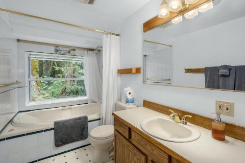 a bathroom with a sink and a toilet and a mirror at Sky One in Skykomish