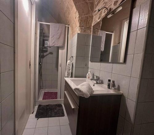 een badkamer met een wastafel en een douche bij futura home centro storico 5 minuti da Bari in Modugno