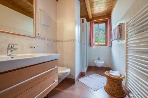 a bathroom with a sink and a toilet and a window at Mitterbruggehof Apt Silberdistel in Anterselva di Mezzo