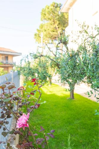 Сад в Casa Vacanze Cattolica