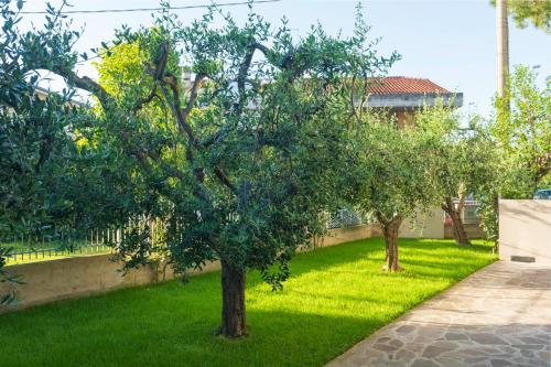 Сад в Casa Vacanze Cattolica