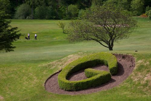 a circular bush sculpture in a field with a tree at Gleddoch Golf & Spa Resort in Langbank