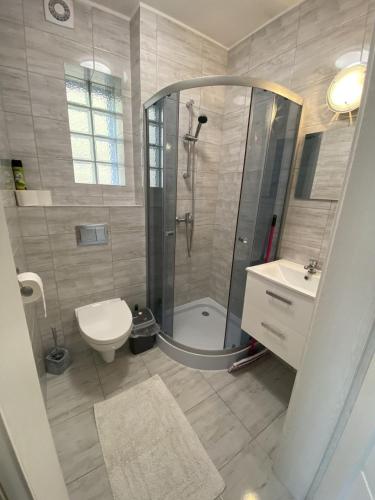 a bathroom with a shower and a toilet and a sink at Pokoje Gościnne „IKAR” in Ustronie Morskie
