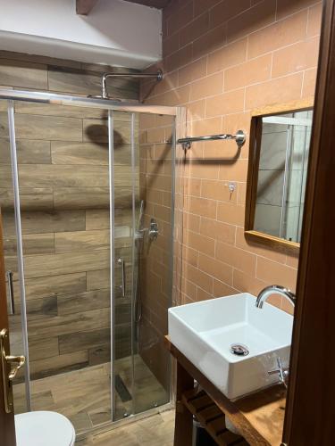 a bathroom with a sink and a glass shower at Molla Guest House in Theth
