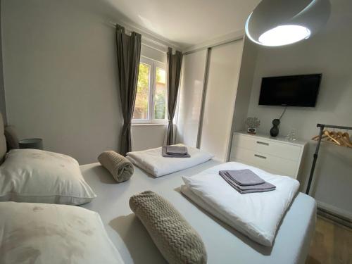 Apartment Toro