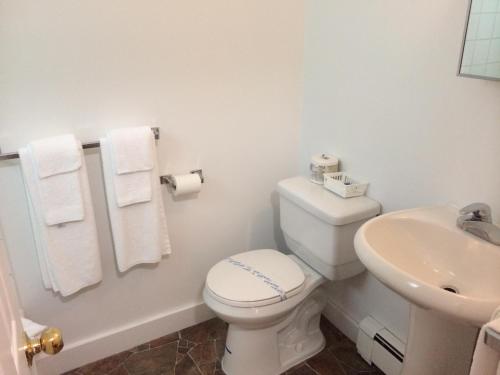 biała łazienka z toaletą i umywalką w obiekcie Carleton Motel and Coffee Shop w mieście Borden-Carleton