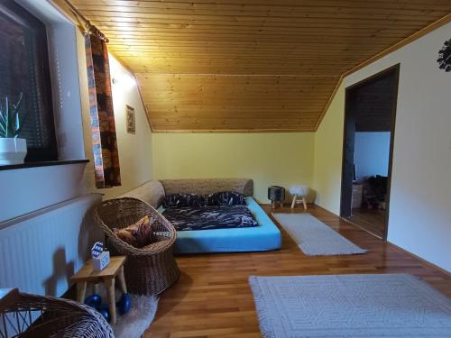 sala de estar con sofá y techo de madera en Kralj Matjaž - the green escape under Alps, en Golnik