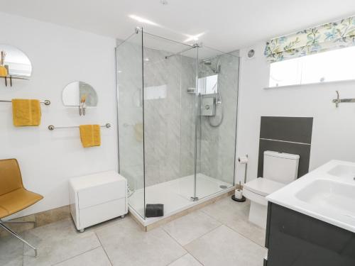 een badkamer met een douche, een toilet en een wastafel bij Capel Mawr, Basement 19 in Caernarfon