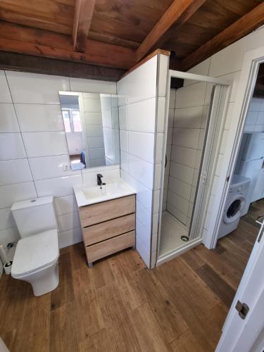 a bathroom with a toilet and a sink and a shower at Alojamiento con finca en Gijón 